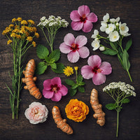 Enchanted Garden Essence by Lusan