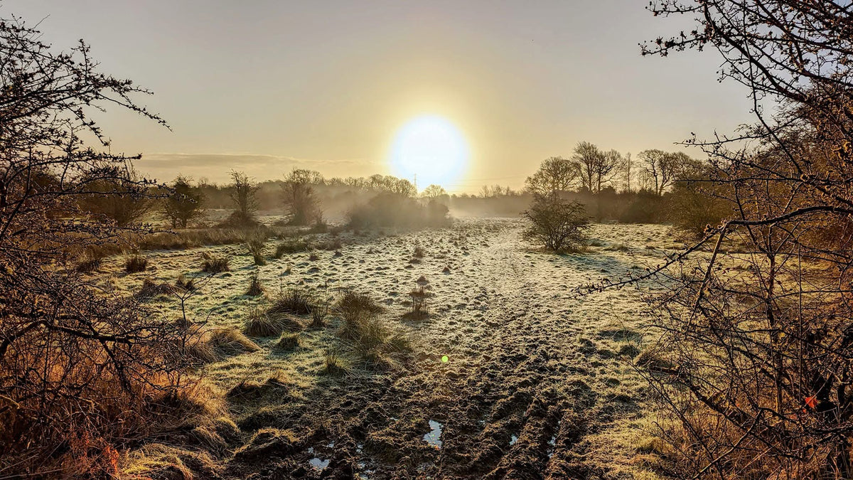 Enchanted Garden Essence by Lusan